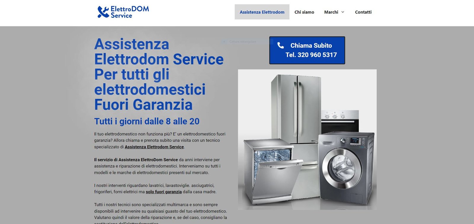 Freelance Web Designer Bologna